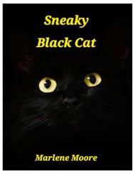 Sneaky Black Cat piano sheet music cover Thumbnail